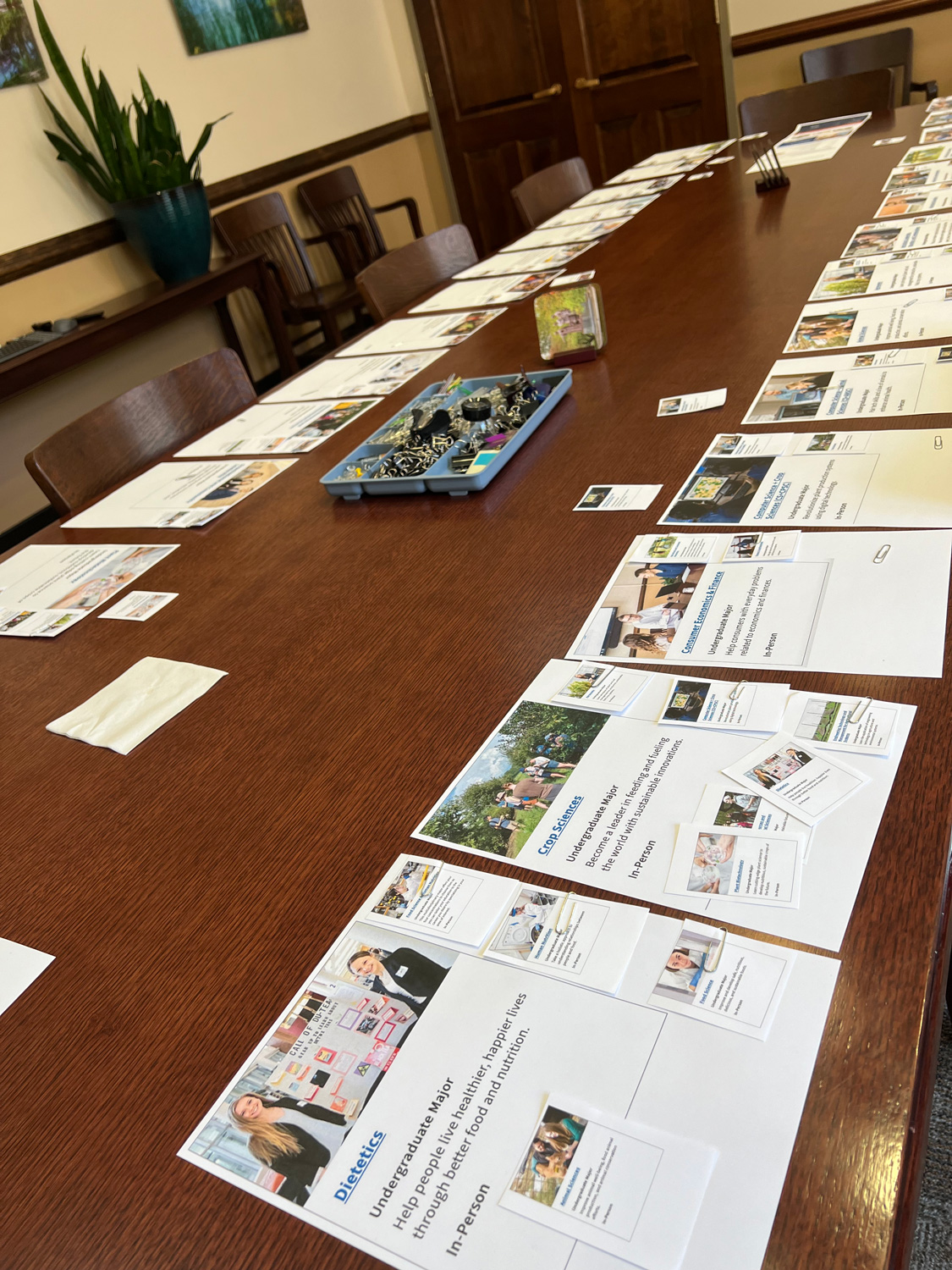 Conference table with printed program sheets and small program cards arranged during a related-programs mapping workshop.