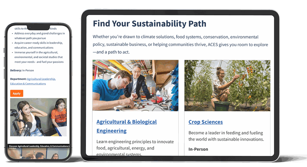 A tablet and a phone showing the ACES Program Explorer. The tablet shows a Find Your Sustainability Path page: an introduction, then two program cards, Agricultural and Biological Engineering and Crop Sciences, each carrying a photograph, the program name as a link, a one-line description and the format. The phone shows a program detail page with a list of what the program covers, its delivery format, a link through to the Agricultural Leadership, Education and Communications department, and an Apply button.